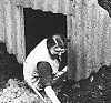 image: anderson shelter