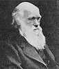 Darwin