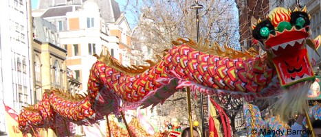 image: dragon
