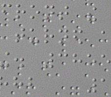 image: Braille