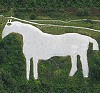 image: Hill Figure
