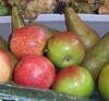 iamge: Harvest