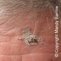 ash on forehead