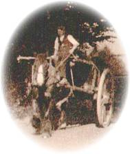 Memories of harvest time