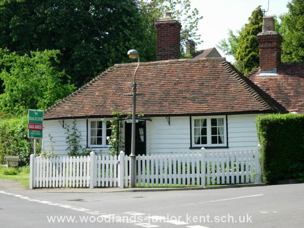 bungalow1