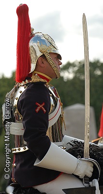 image: mounted guard