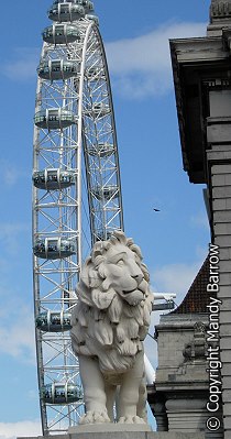 image: London Eye