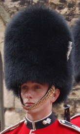 Grenadier Guard