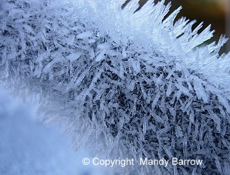 Close up on the ice